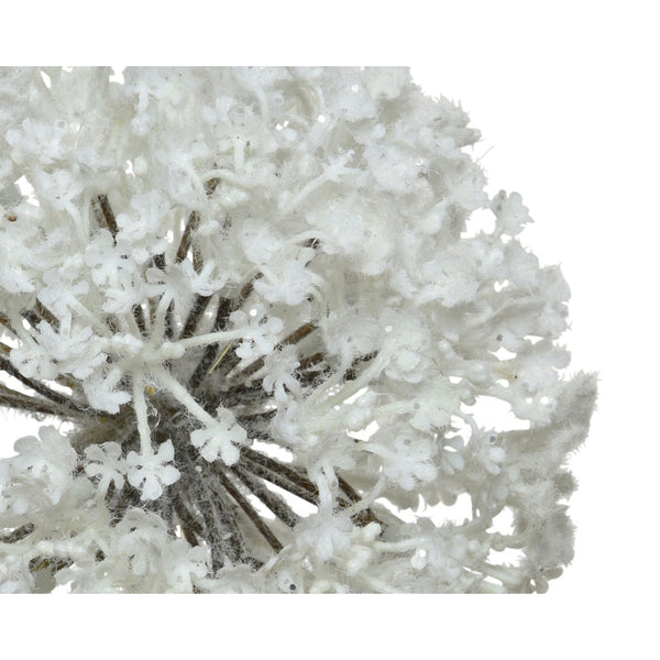 Everlands Frosted White Allium Stem (70cm) image 1