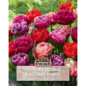 Tulip Double ‘Dazzling’ Mix (25 Bulbs) image 0
