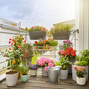 GARDENA Solar-powered Irrigation AquaBloom Set image 2