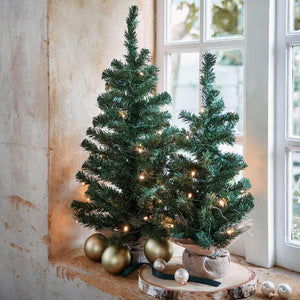 Everlands Mini Imperial Pine image 4