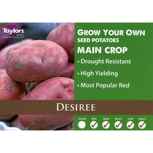 Desiree Main Crop Seed Potatoes - 2kg image
