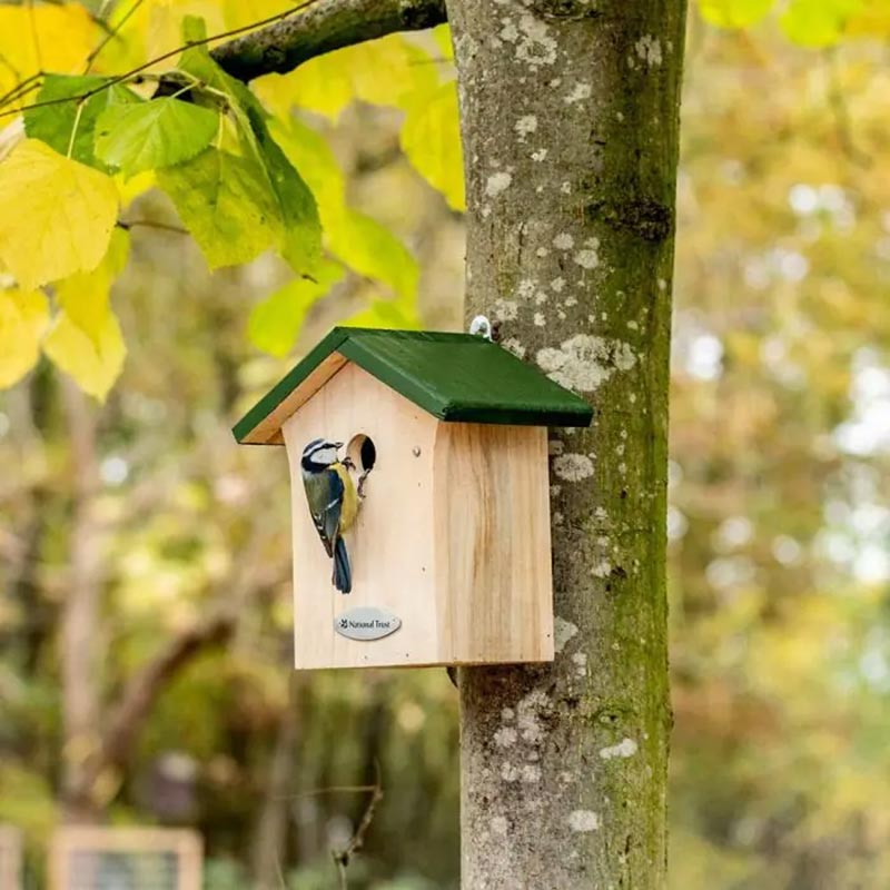 National Trust Blue Tit Nest Box 28mm Gift Set image 0