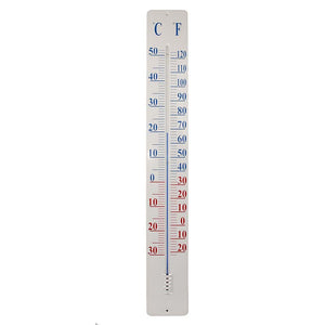 Fallen Fruits Wall Thermometer - Large image