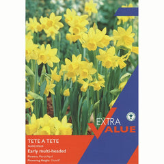 Narcissus ‘Tête-à-tête’ daffodils (20 bulbs) image 0