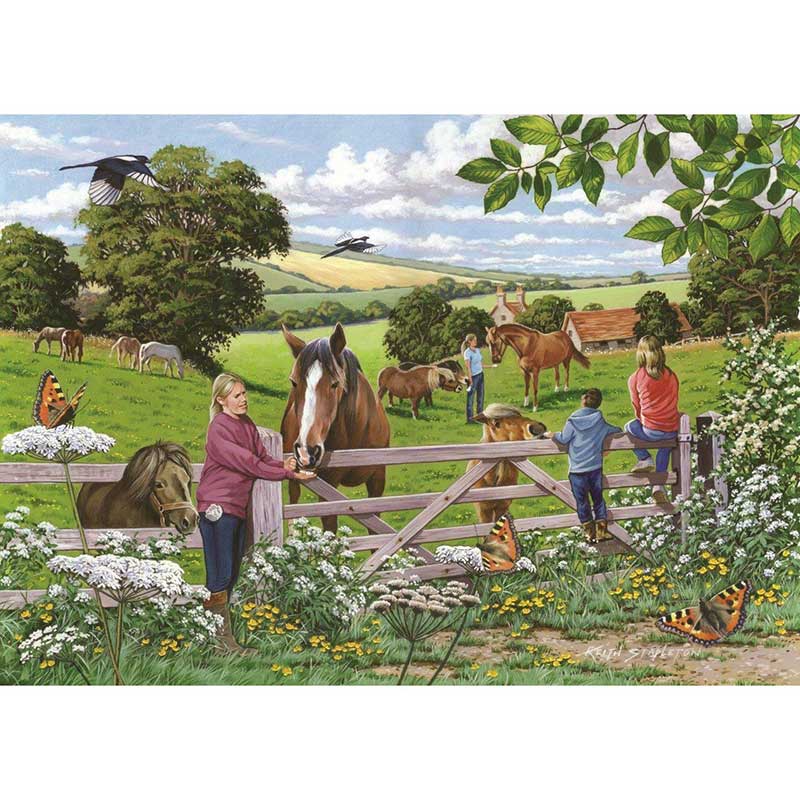 House of Puzzles Sugar Lumps 500 Piece Jigsaw Puzzle image 0