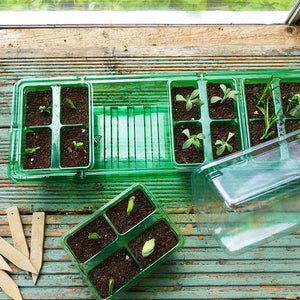 Gro-Sure Visiroot Windowsill Propagator image 2