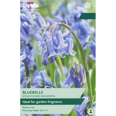 Bluebells Hyacinthoides non-scripta (5 bulbs) image 0