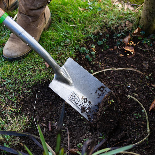 AMES Border Spade Carbon Steel image 2