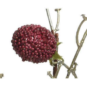 Everlands Blackberry Spray (80cm) image 1