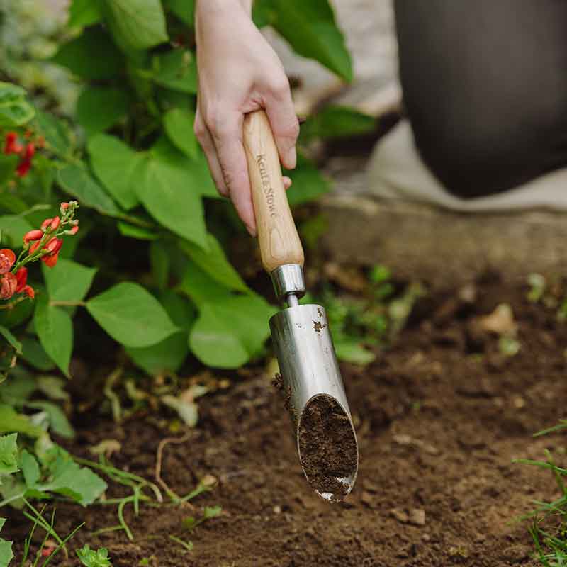 Kent & Stowe Stainless Steel Small Bulb Planter image 0