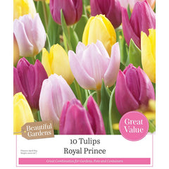 Tulip Single Early 'Royal Prince' Mixed Colours (10 bulbs) image 0
