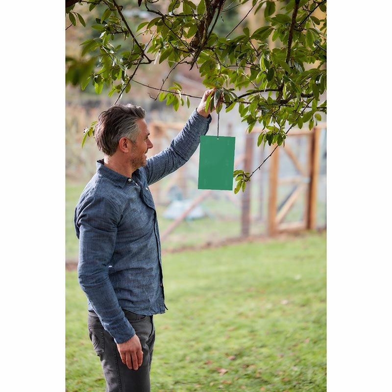 Defenders Horse Chestnut Leaf Miner Pheromone Traps (Pack of 2) image 0