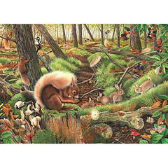 House Of Puzzles Save Our Squirrels 1000 Piece Jigsaw Puzzle image 0