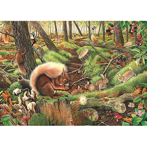 House Of Puzzles Save Our Squirrels 1000 Piece Jigsaw Puzzle image 0