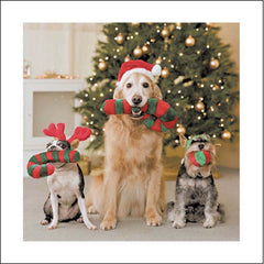 Woodmansterne Festive Friends Christmas Card image 0