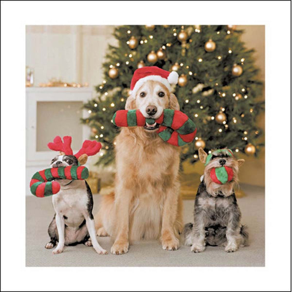 Woodmansterne Festive Friends Christmas Card image 0