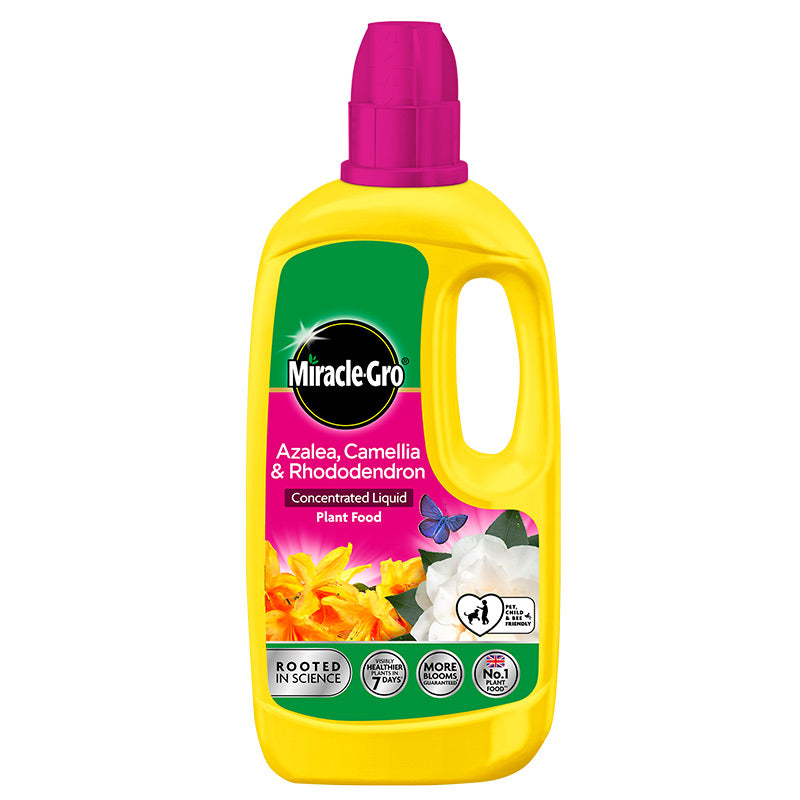 Miracle-Gro Azalea, Camellia & Rhododendron Liquid Plant Food (800ml) image 0