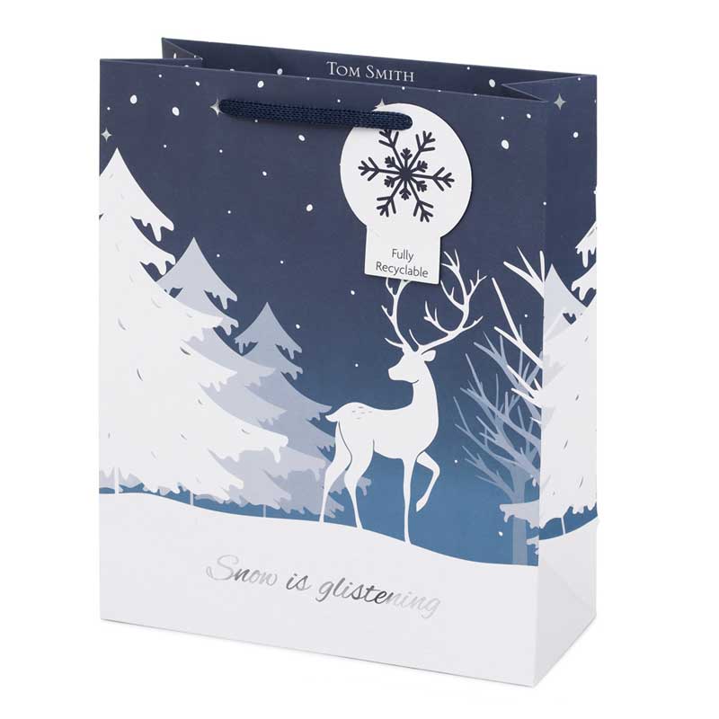 Tom Smith Winter Wonderland Medium Gift Bag image 0
