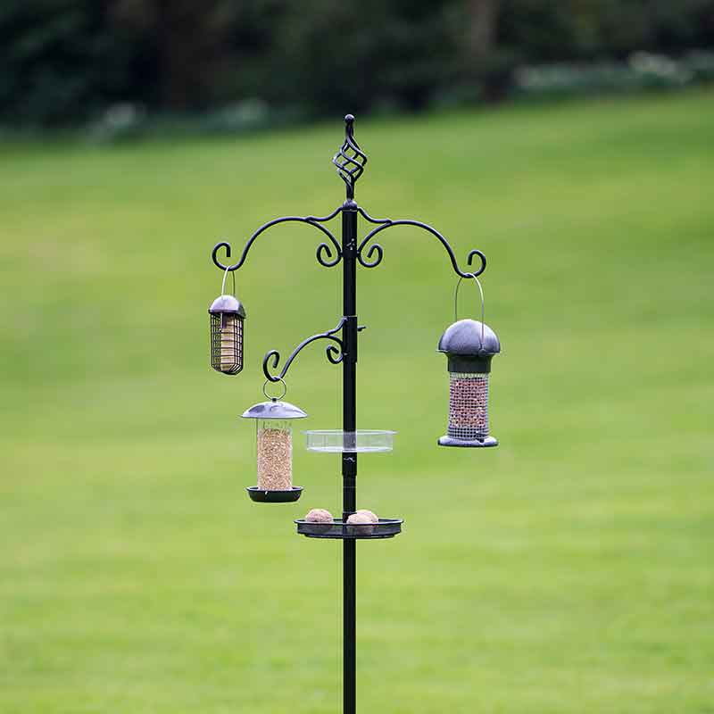 Tom Chambers Prestige Deluxe Bird Station image 0