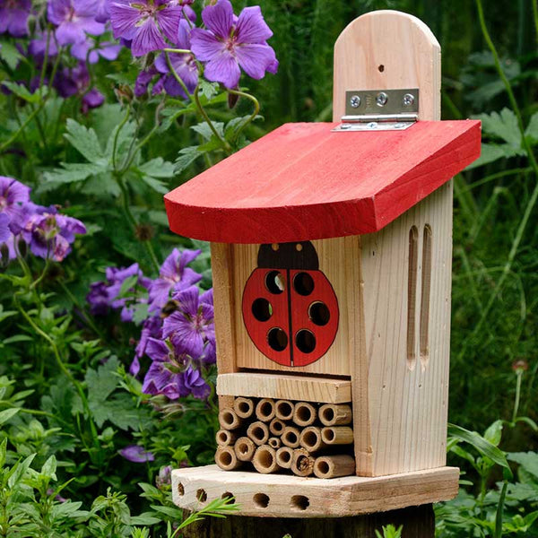 Wildlife World Ladybird & Insect Lodge image 0