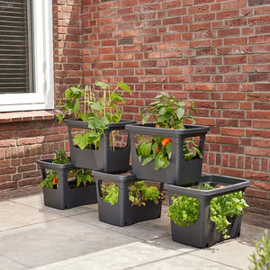 elho® Green Basics Stack & Grow Black image 1