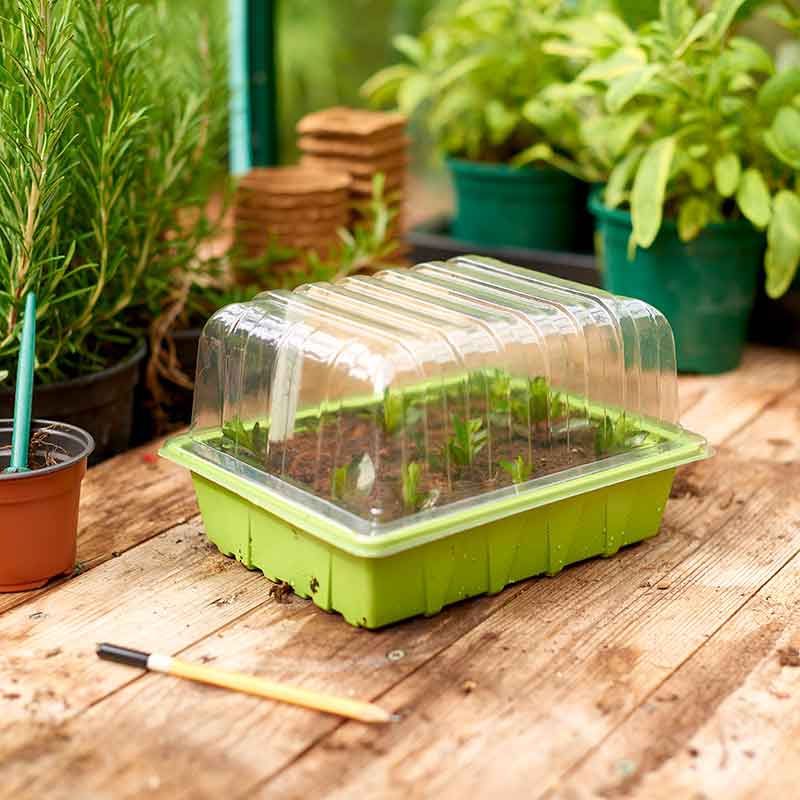 Gro-Sure Half Seed Tray Lid image 0