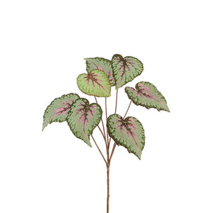 Floralsilk Begonia Leaf Spray (60cm) image 0