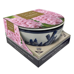 Indoor Delft Bowl Pink Hyacinth Set (3 Bulbs) image 0