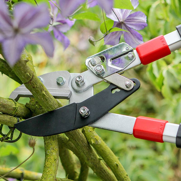 Darlac Telescopic Ratchet Lopper image 1