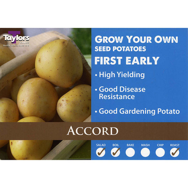 Accord First Early Seed Potatoes (2kg Bag) image 0