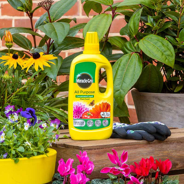 Miracle-Gro All Purpose Concentrated Liquid Plant Food (800ml) image 0
