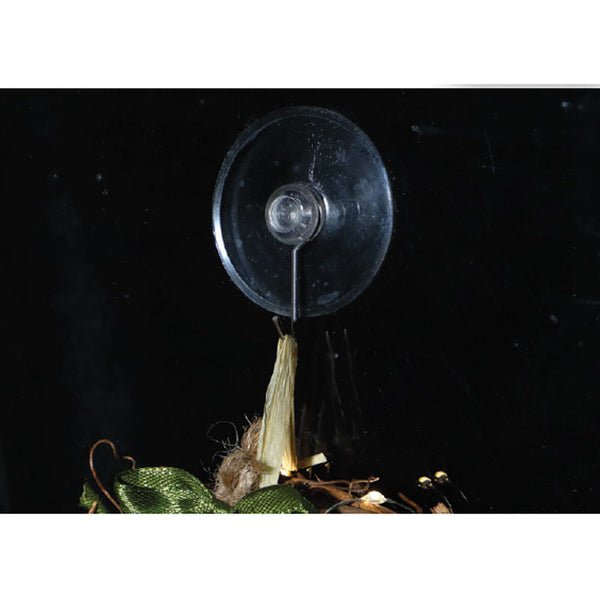 NOMA Medium Suction Cup Hooks (Pack of 6) image 1