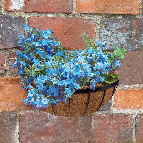 Smart Garden Saxon Wall Manger (16-inch) image 0