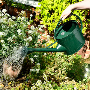 Burgon & Ball Waterfall Watering Can image 1