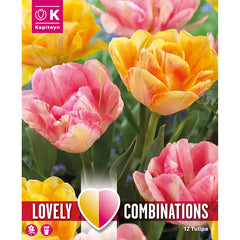 Tulip Duopack Double 'Orange & Pink' Combination Mix (12 bulbs) image 0