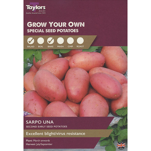 Sarpo Una Second Early Seed Potatoes - Pack of 8 image