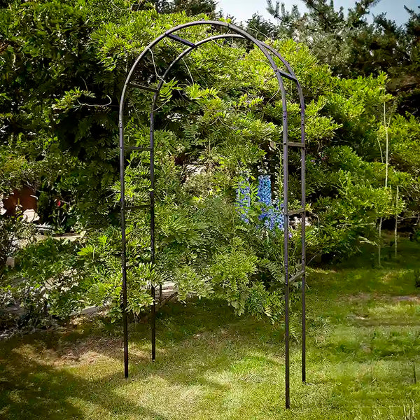 Tom Chambers Classic Garden Arch image 0