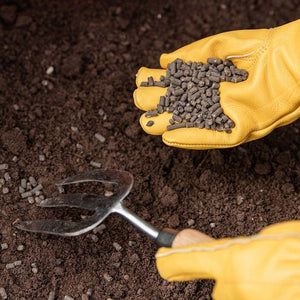 Westland Organic Chicken Manure Pellets image 1