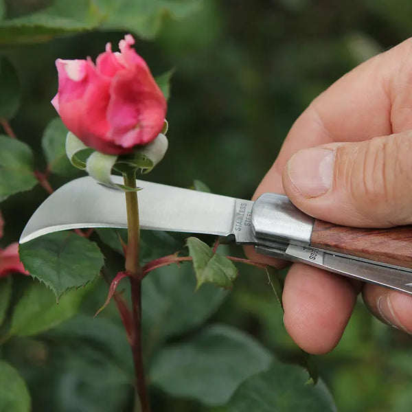 Darlac Pruning & Budding Knife image 1
