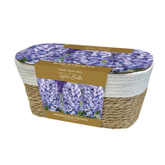 Large Wicker Basket Blue Hyacinth Planter (5 bulbs) image 0