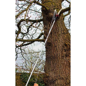 Kent & Stowe Telescopic Tree Lopper image 3