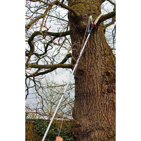 Kent & Stowe Telescopic Tree Lopper image 3