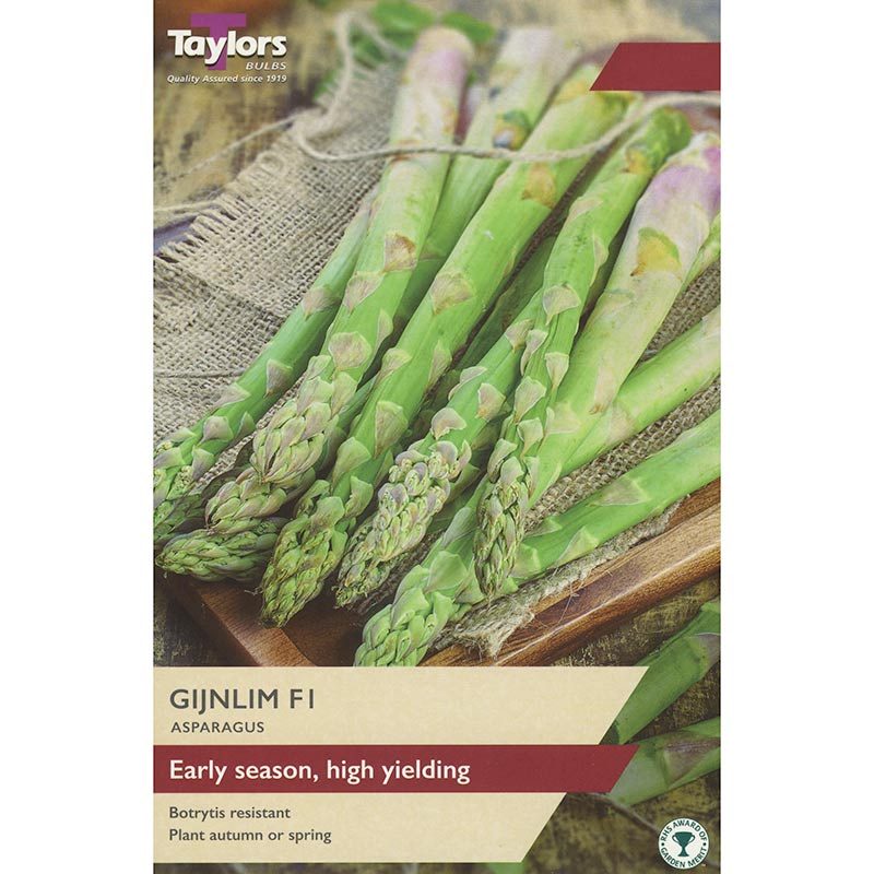 Asparagus 'Gijnlim F1' (2 Male Crowns) image 0