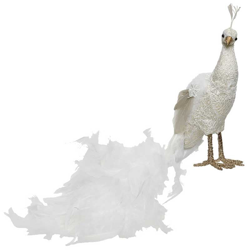 Decoris White Peacock image 0