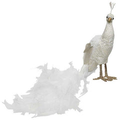 Decoris White Peacock image 0