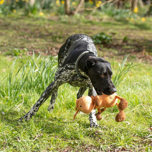 Petface Antwon Ant Plush Dog Toy image 3