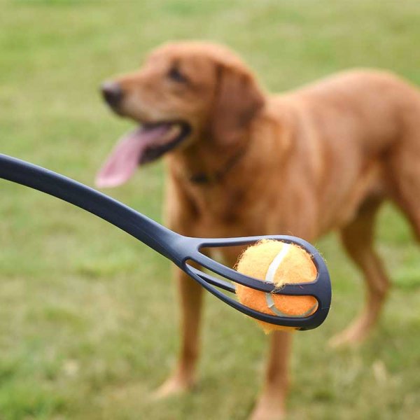 Zoon Pooch Ball Launcher Dog Toy image 2