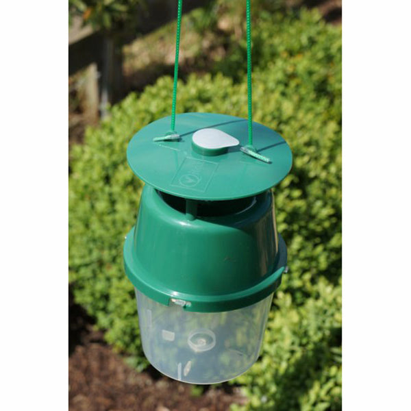 Vitax Organic Buxus Box Tree Moth Trap image 1