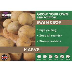 Marvel Main Crop Seed Potatoes (2kg Bag) image 0