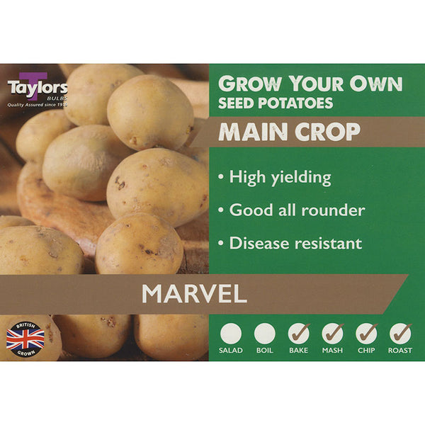 Marvel Main Crop Seed Potatoes (2kg Bag) image 0